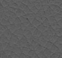 Cuir Gris