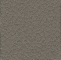 Cuir Taupe