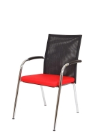 Rouge 9555
