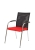Rouge 9555