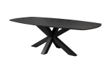 Table de réunion VELTRIANE - Ovale - L240 x P120 cm