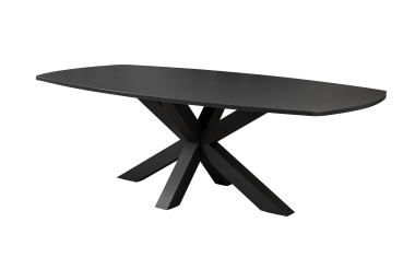 Table de réunion VELTRIANE - Ovale - L240 x P120 cm