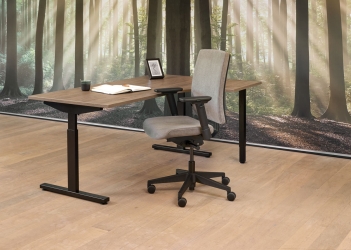 Rapide Wingbureau 160x120 rechts 