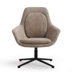 Fauteuil de luxe avec accoudoirs