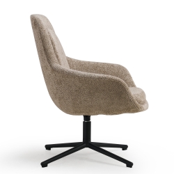 Fauteuil de luxe avec accoudoirs
