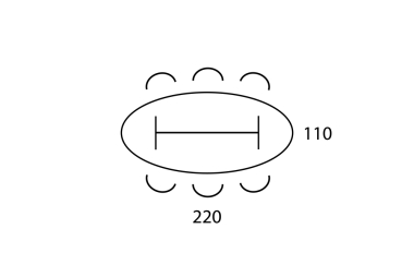 Ellips vergadertafel Double-T 220x110cm
