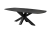 Table de réunion VELTRIANE - Ovale - L240 x P120 cm 79057